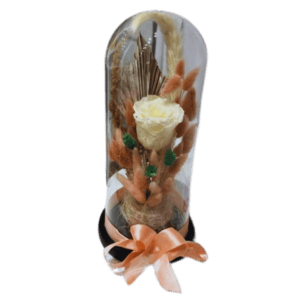 Trandafir criogenat cupola