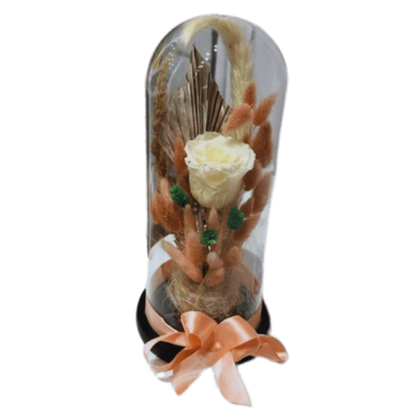 Trandafir criogenat cupola