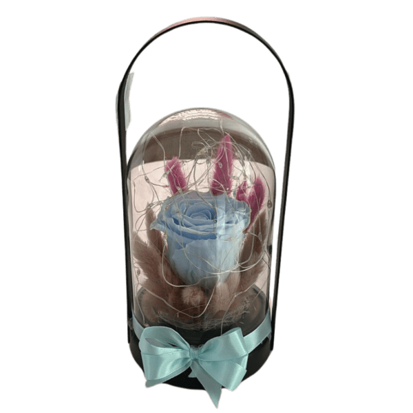 Trandafir criogenat cupola iluminat