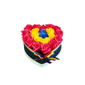 Aranjament depunere jurământ