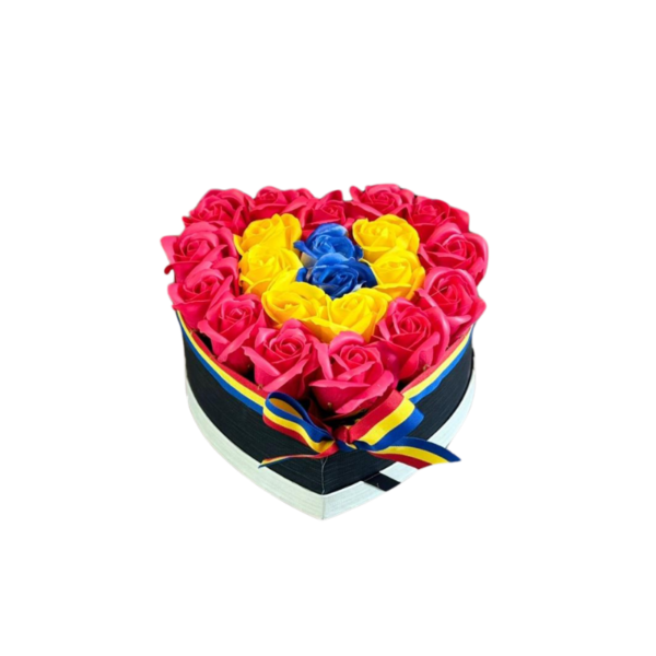 Aranjament depunere jurământ