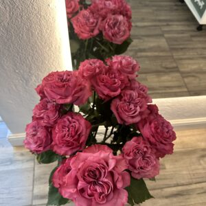 Trandafiri parfumați