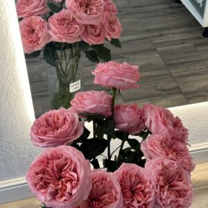 Trandafiri parfumați