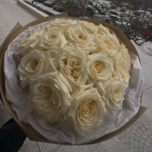 Buchet white premium